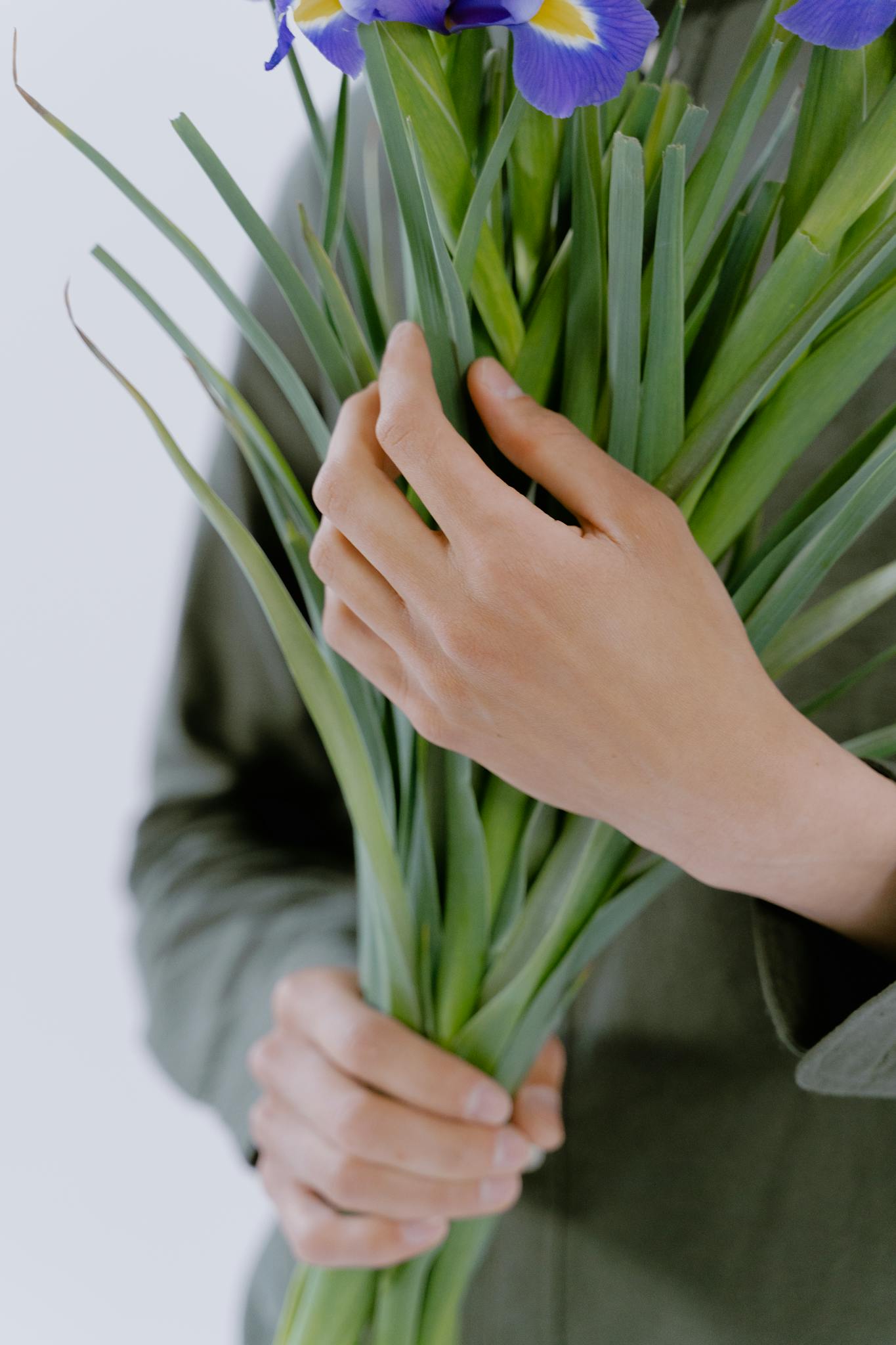 A close-up of hands gently cradling a bouquet of purple irises, symbolizing beauty and care.